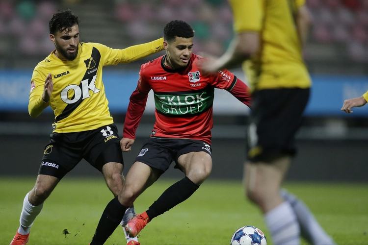 由于投资者 由于投资者