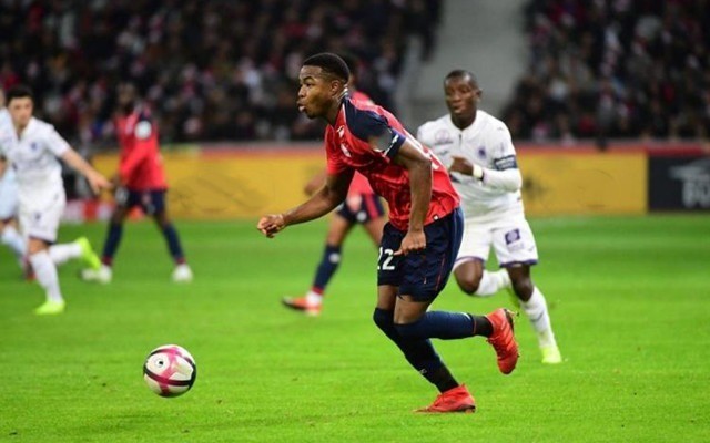 他地区提供 他地区提供