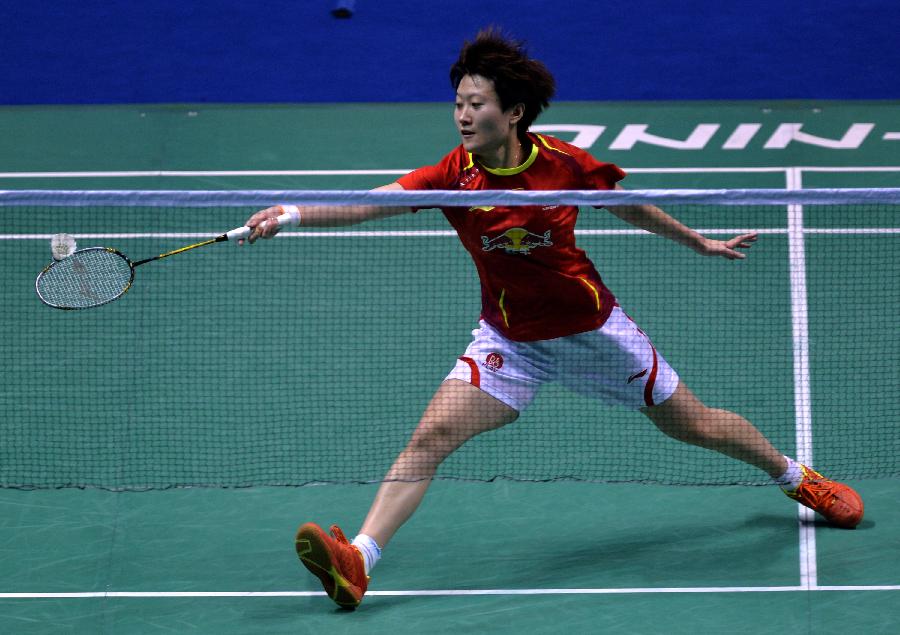 或许会有新 或许会有新